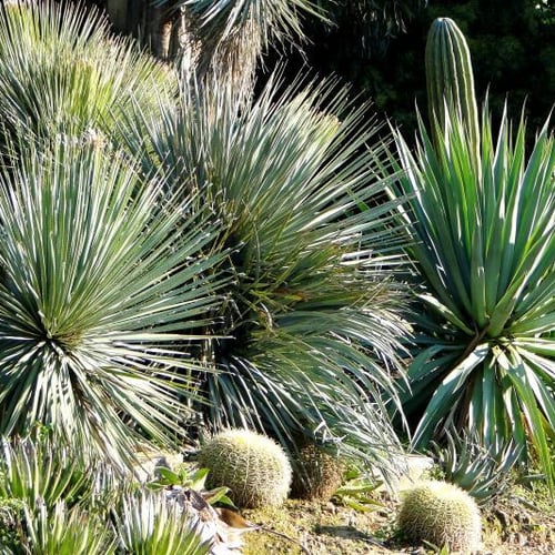 Le Domaine du Rayol 2