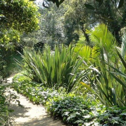 Le Domaine du Rayol 4