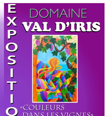 Couleurs dans les vignes
