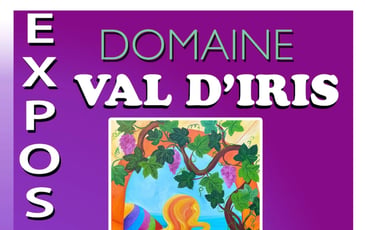 Couleurs dans les vignes