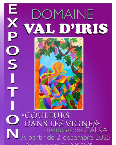 Couleurs dans les vignes
