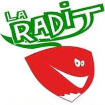Match d'impro : La RADIT vs autre ville de France