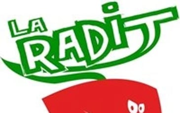 Match d'impro : La RADIT vs autre ville de France