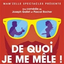 De quoi je me mêle !
