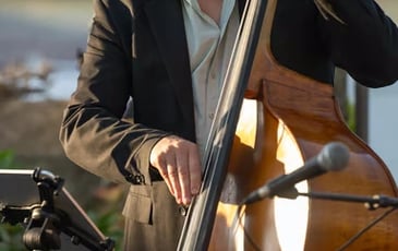 Chansons Françaises Revisitées Façon Manouche