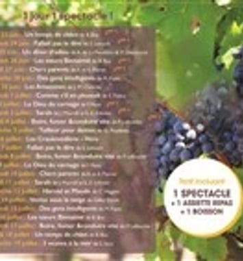 Théâtre dans la vigne