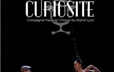 Curiosité