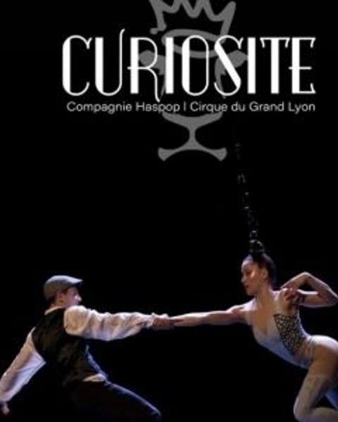 Curiosité