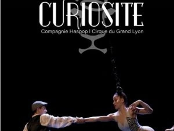 Curiosité