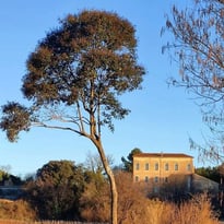 Les moulins de la Bastide Sainte Cecile des Arcs, Ecomusée de l'Olive