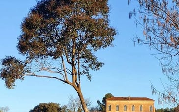 Les moulins de la Bastide Sainte Cecile des Arcs, Ecomusée de l'Olive