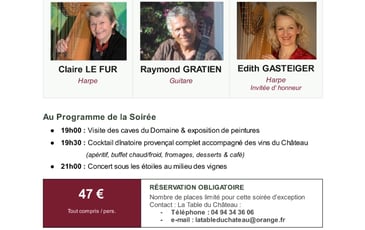Soirée concert classique et cocktail dînatoire harpes et guitare