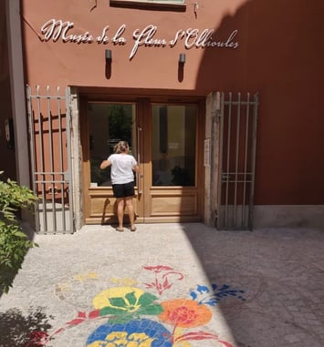 Visite guidée du Musée de la fleur d'Ollioules