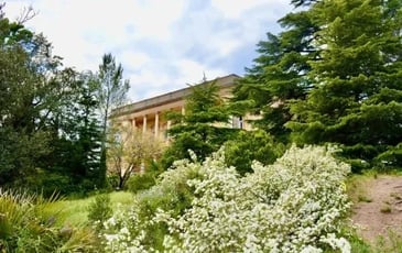Visite botanique du Parc de la Villa Aurélienne