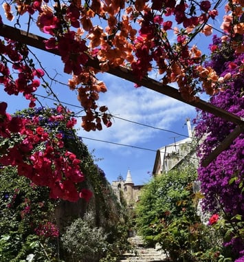 Sur les traces des écrivains à Hyères