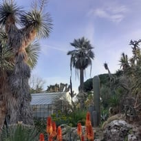 Le Jardin Olbius Riquier : visite sensorielle en LSF
