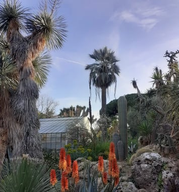 Le Jardin Olbius Riquier : visite sensorielle en LSF