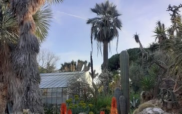 Le Jardin Olbius Riquier : visite sensorielle en LSF