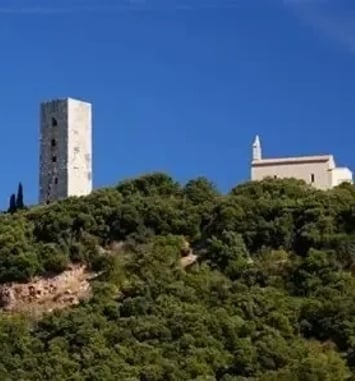 Visite guidée des vestiges du village médiéval de Taradeau