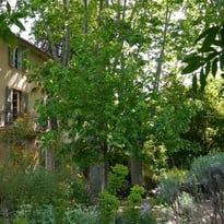 Salon du livre de jardin
