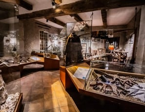 Musée Des Arts Et Traditions Populaires De Draguignan