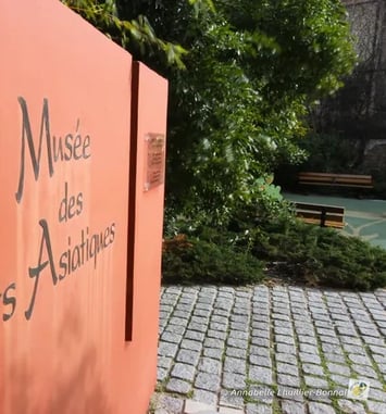 Visite guidée du Musée et de ses collections
