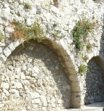 Visite commentée de Seillons Source d'Argens