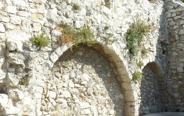 Visite commentée de Seillons Source d'Argens