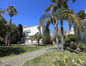 Musée des Arts Asiatiques de Toulon