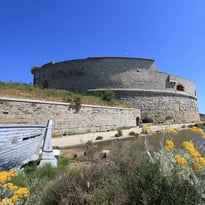 Visite libre Tour Royale
