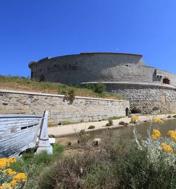 Visite libre Tour Royale